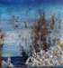 Fragore 30x30 Olio su Tela